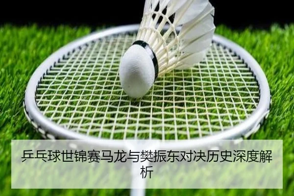 乒乓球世锦赛马龙与樊振东对决历史深度解析